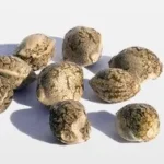 Cannabis zaadjes kopen