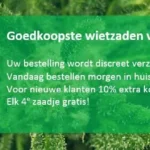 Graines cannabis moins chères NL