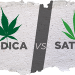 Indica and Sativa Cannabis Plant