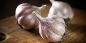 knoflook teggen ongedierte