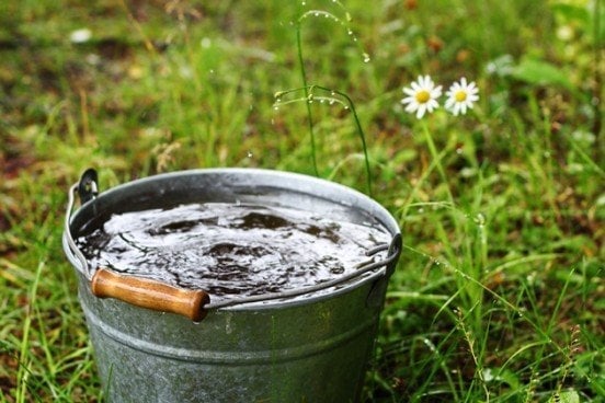Regenwater voor je wietplant