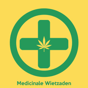 Cannabis Seeds with High CBD Content