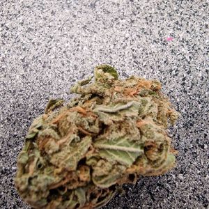 AMG Graines de Cannabis 1