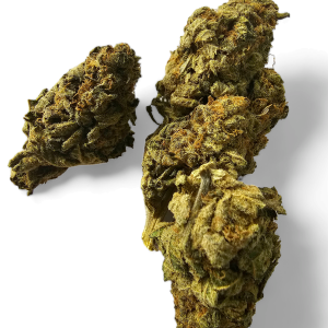 Semillas autoflorecientes DMT cannabis