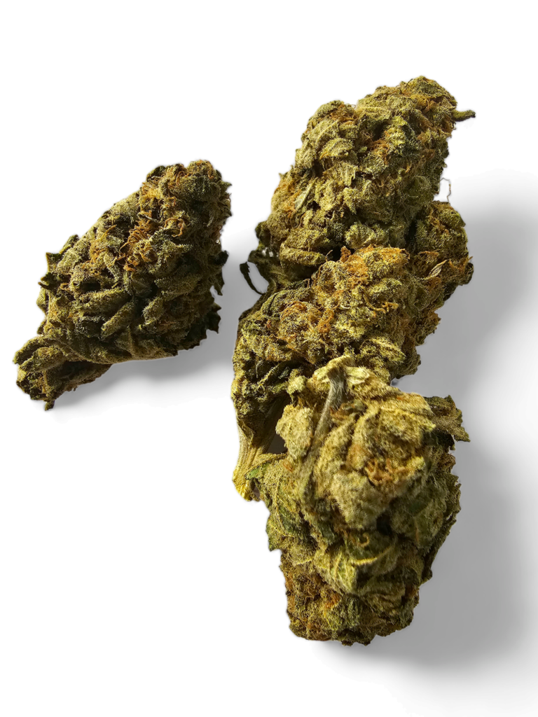 DMT autoflower wietzaden