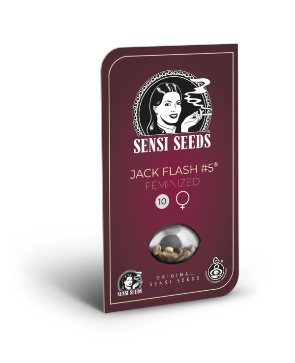 Jack Flash