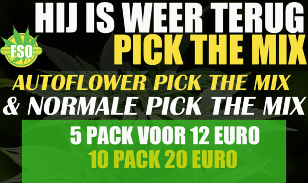 PICK THE MIX 12 EURO AUTOFLOWER 5 - Afbeelding 1