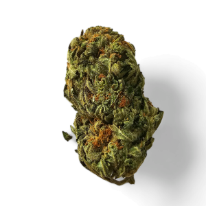 Cima di cannabis Runtz Auto