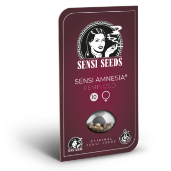 Sensi amnesia wiet