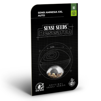 Sensi Amnesia XXL autoflower