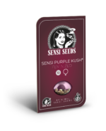 Sensi Purple kush wiet