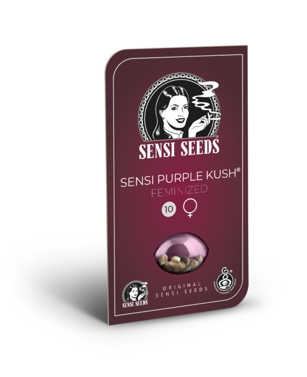 Sensi Purple kush wiet