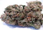 OG Kush wietzaden - Afbeelding 2