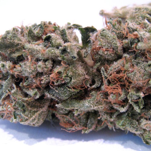 home 13 black sunday og kush july