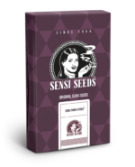 Sensi Purple Kush zaden