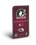 Sensi Purple Kush