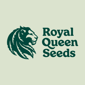 Royal Queen Seeds Groningen