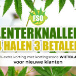 Blog - Wietzaden kopen - Voor buiten of binnen | 4 HALEN, 3 BETALEN
