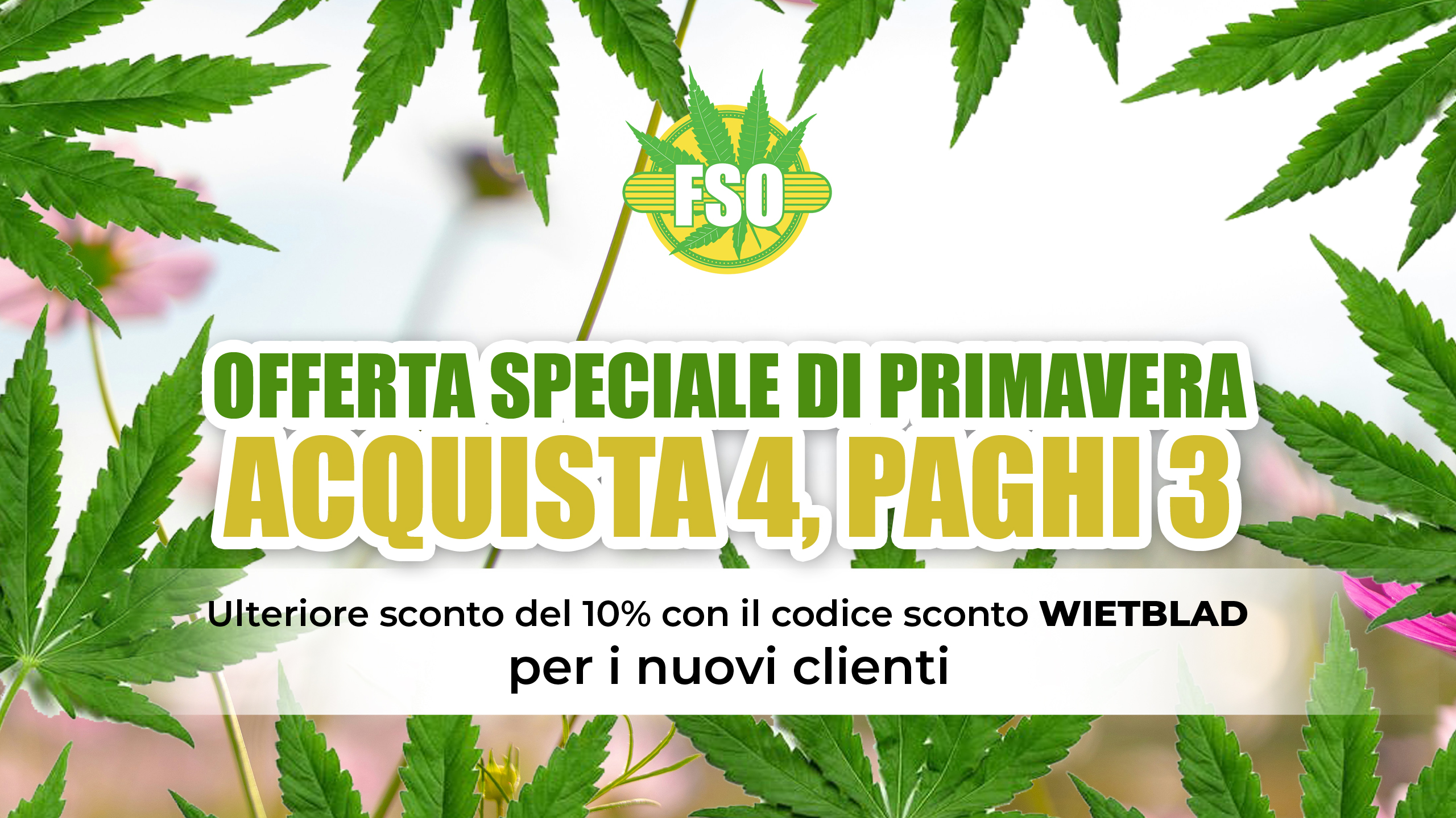 casa - Acquista semi di cannabis - Per esterno o interno | 4 PRENDI, 3 PAGHI