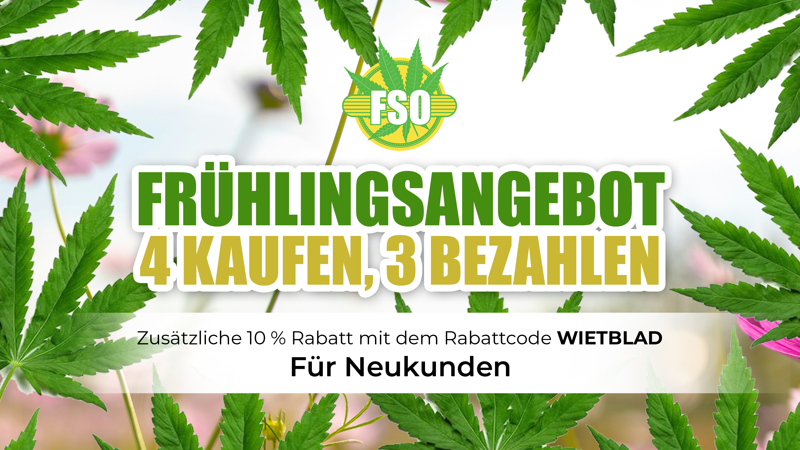 Startseite - Cannabis Samen kaufen - Für draußen oder drinnen | 4 KAUFEN, 3 ZAHLEN