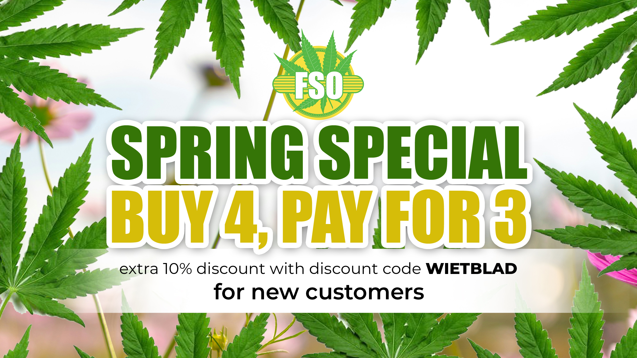 Accueil - Graines de cannabis acheter - Pour extérieur ou intérieur | 4 EMPORTEZ, 3 PAYEZ